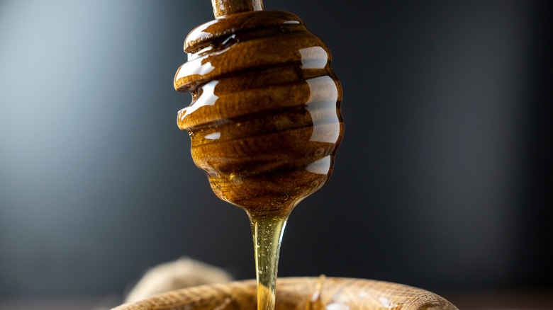 honey dripping off dipper