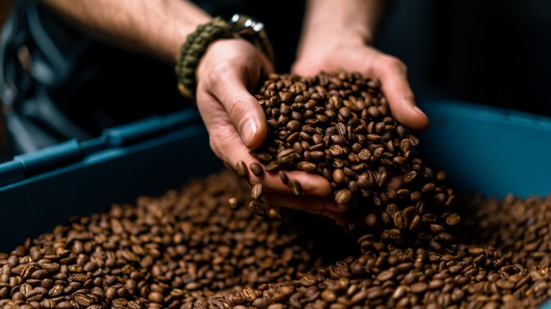 Hands holding coffee beans