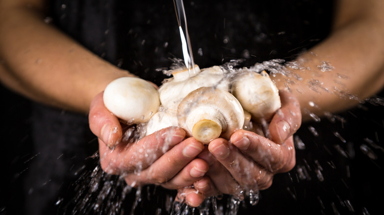 washing mushrooms