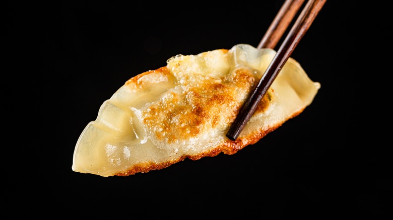 Jiaozi being held with chopsticks