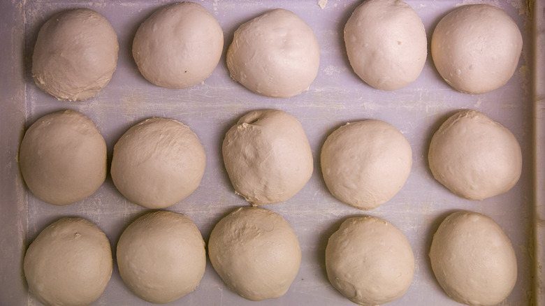 15 balls of pizza dough