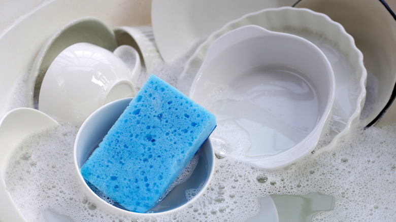 White dishes in a soapy sink with a blue sponge