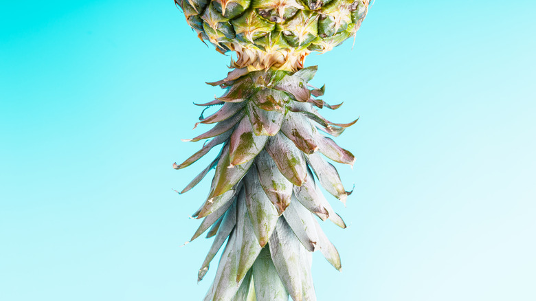 Upside down pineapple