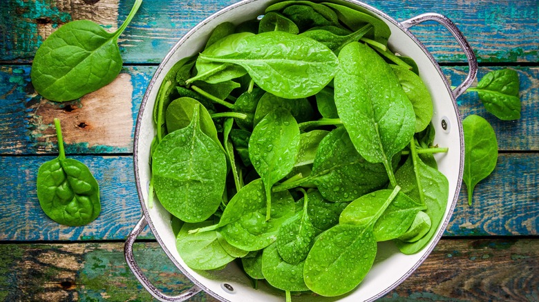 Spinach leaves in colander
