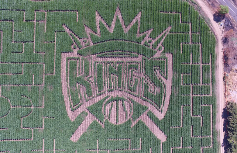 Cool Patch Pumpkins, Dixon, Calif.