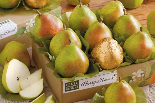 Harry and David Pears