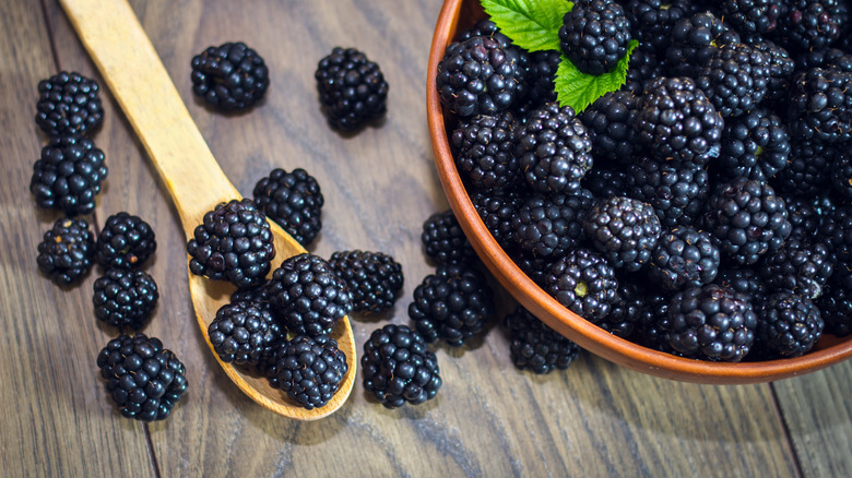 Blackberries in a bowl