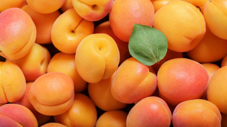A pile of apricots