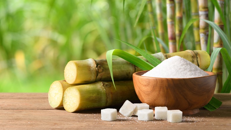sugar cane and sugar