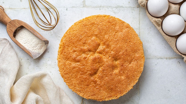 A vanilla sponge cake
