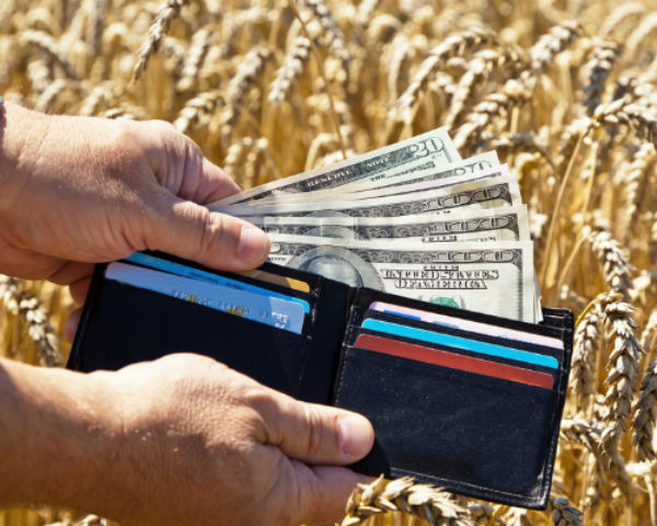 Economics of GMO