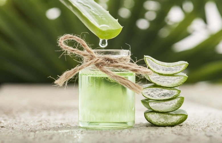 Pack Aloe