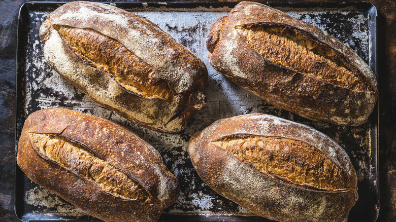 Four rustic sourdough loaves