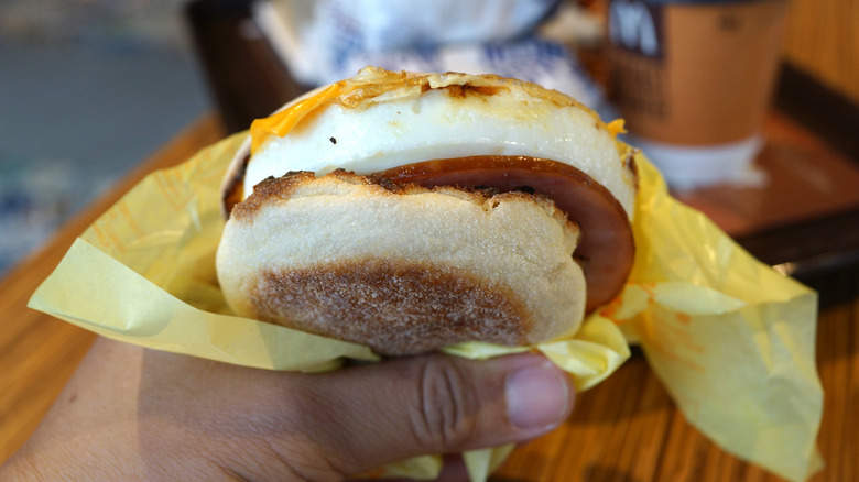 person holding an egg mcmuffin