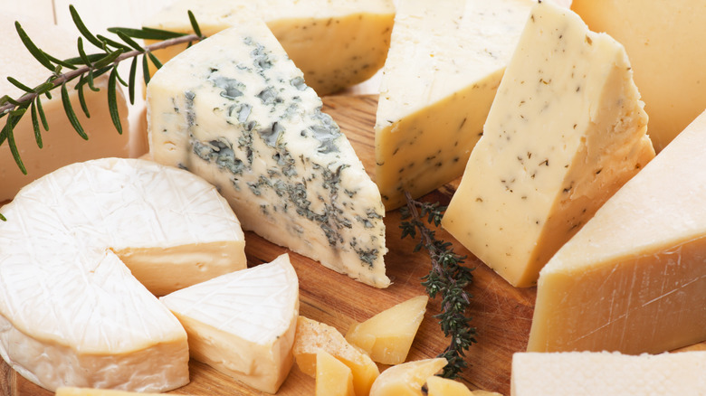 Array of cheeses and herbs on board