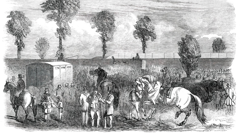Royal Exeter agricultural show