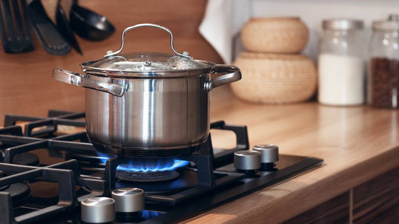 Pot on gas stove
