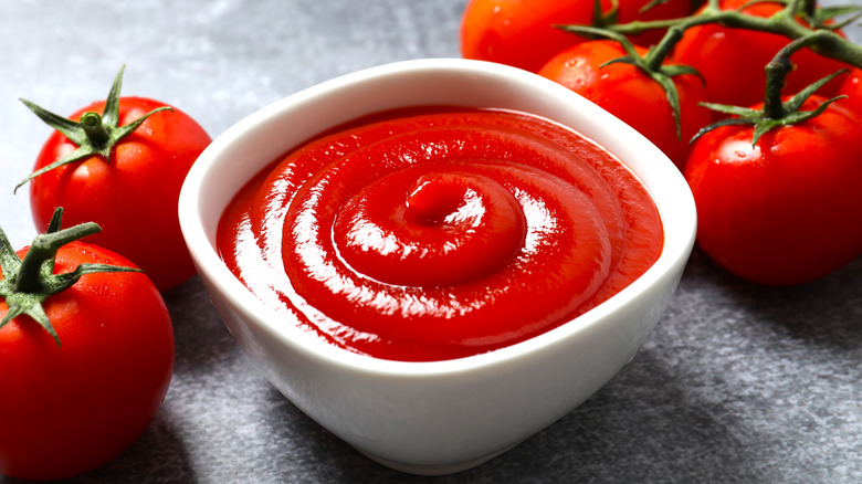 A bowl of ketchup surrounded by fresh tomatoes on a gray table