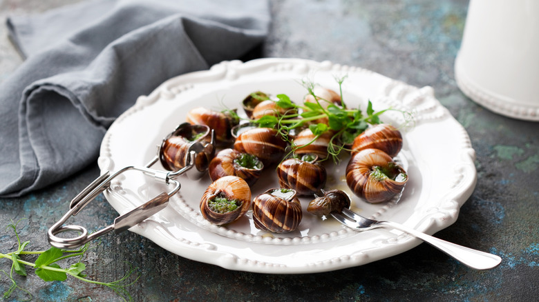 Cooked escargots in shells on a white plate