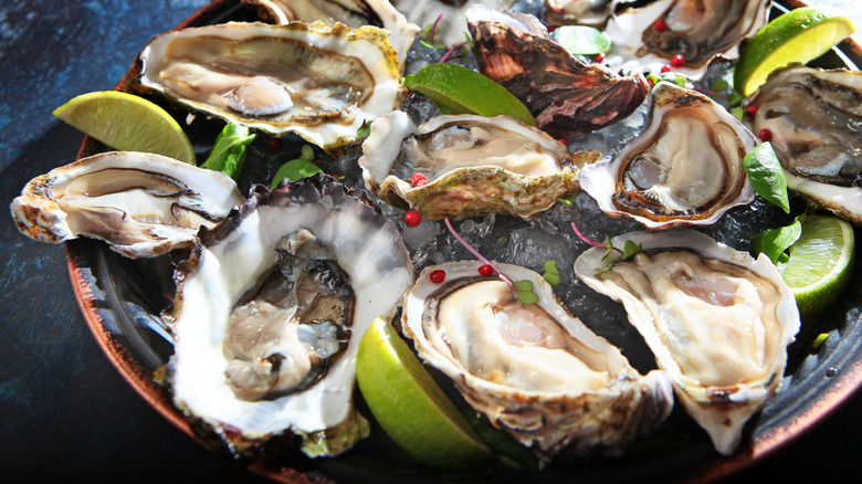 Oysters on the half shell 