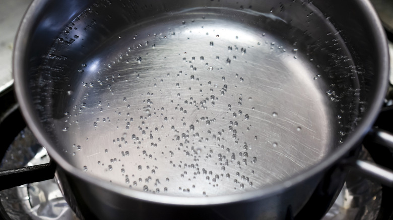 Water at a quiver simmer