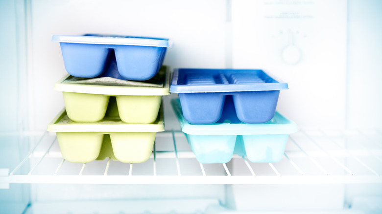 ice cube trays in freezer