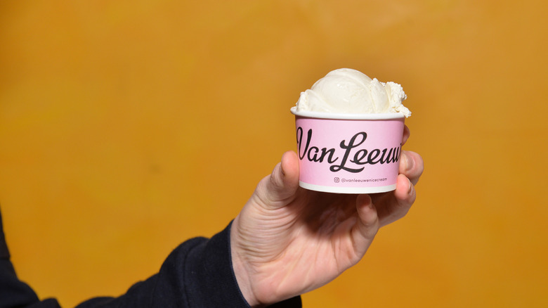 Hand holding a cup of Van Leeuwen ice cream