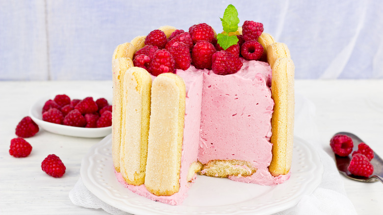 charlotte russe dessert on plate