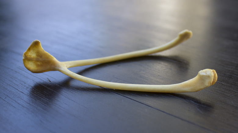 turkey wishbone closeup