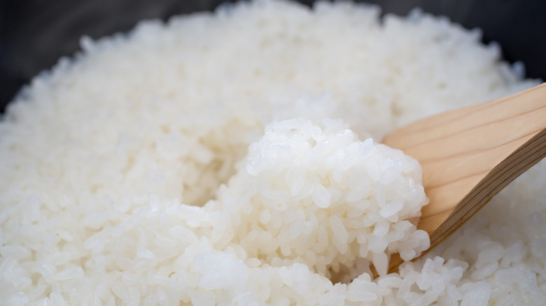 Rice on a spoon