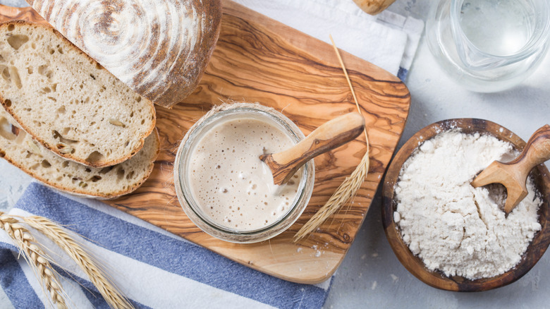 Sourdough starter and bread