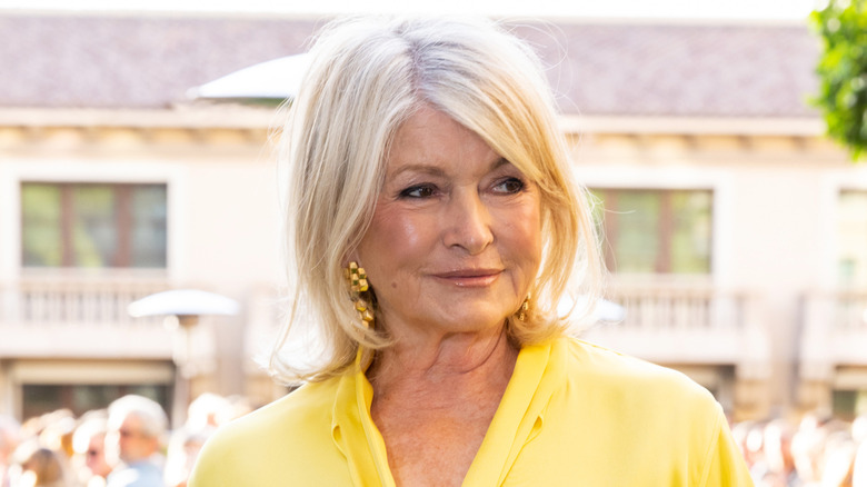 Close up of Martha Stewart
