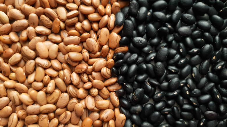 Dried pinto and black beans 