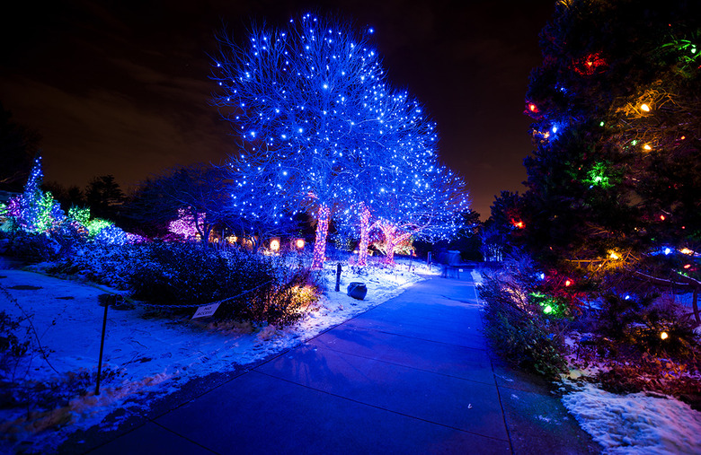 Denver Botanic Gardens (Denver, Colorado)