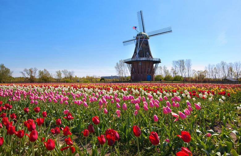Holland, Mich.