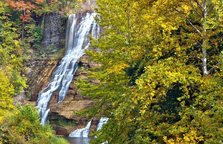 Ithaca, N.Y. 