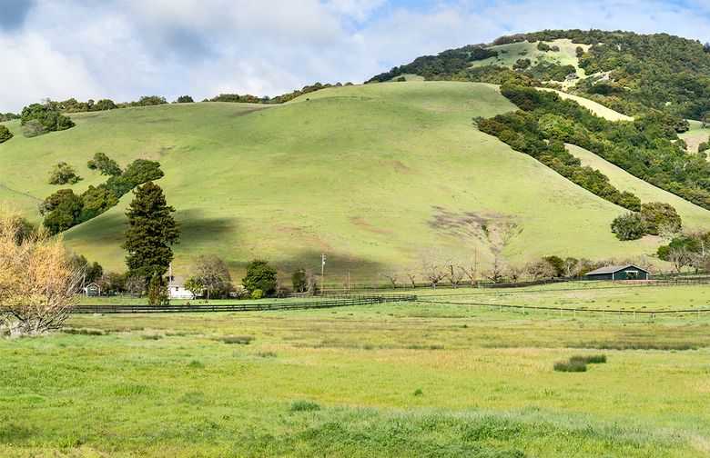 Sonoma, Calif.