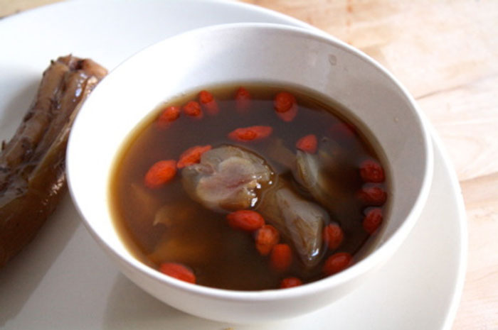 Animal Penises