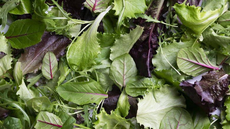 assorted mixed greens