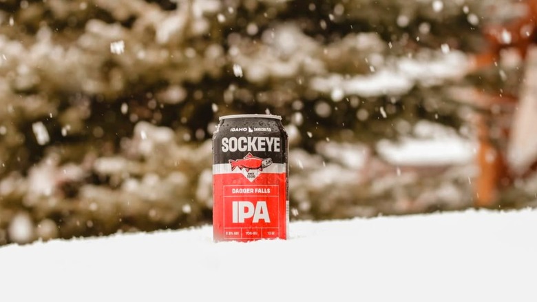 can of dagger falls ipa beer in snow