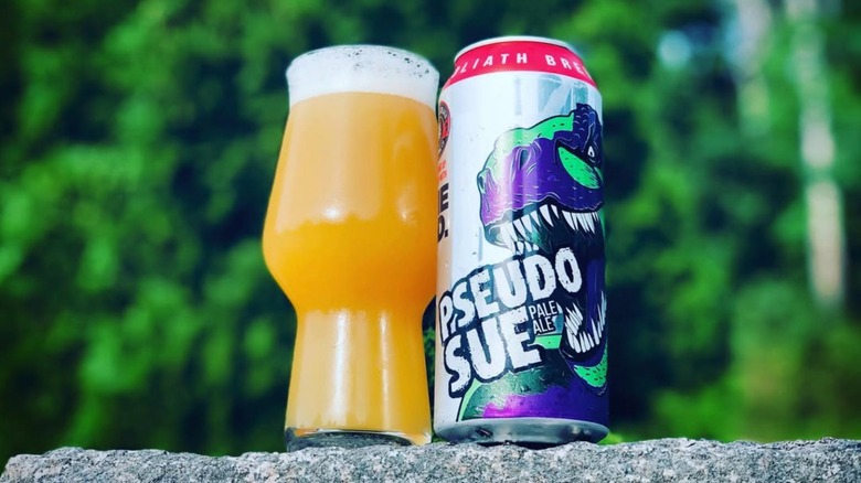 can and glass of pseudo sue pale ale beer on rocky surface outside