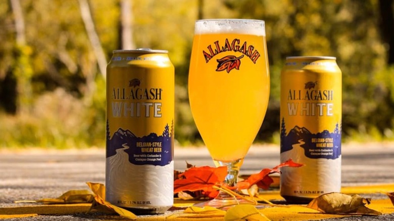 two cans and one glass of allagash white beer on ground with forest in background