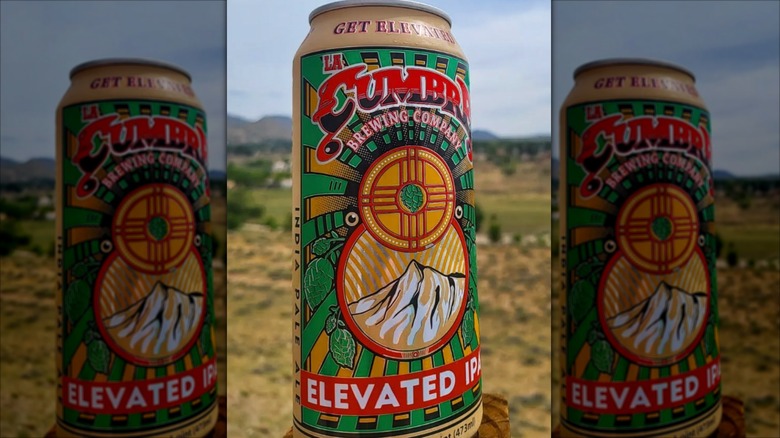 can of elevated ipa in front of outdoor vista