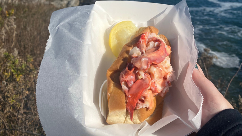 Lobster roll with the coast of Maine the in background