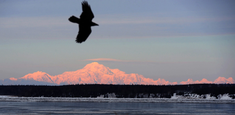 Alaska: Denali National Park and Preserve