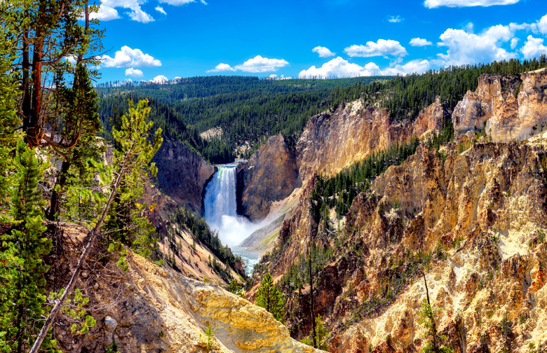 Montana: Yellowstone National Park	