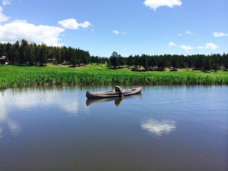 South Dakota: The WoodCarvers Cottage (Custer)