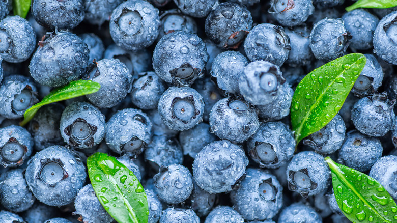 Blueberries 