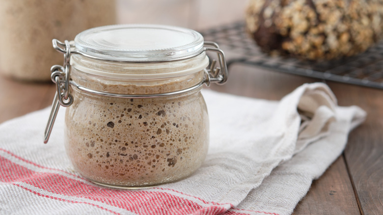 Active sourdough starter
