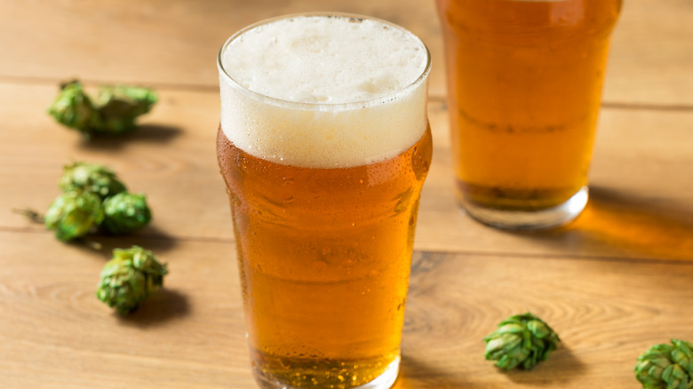 Green hops and a pint of IPA